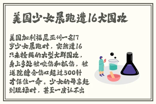 通房丫头小说全文免费阅读